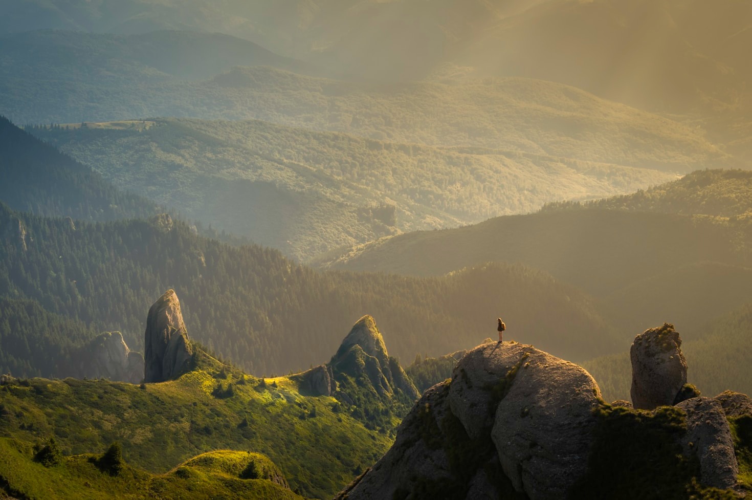 Turning Personal Passion Into Purposeful Action